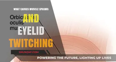 Understanding Muscle Spasms and Eyelid Twitching: Causes and Triggers