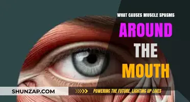 Understanding Mouth Muscle Spasms: Causes and Triggers Explained