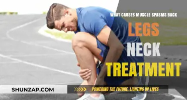 Understanding Muscle Spasms: Causes, Treatments for Back, Legs, and Neck Pain