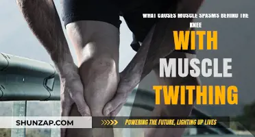 Understanding Causes of Knee Muscle Spasms and Twitching Behind the Knee