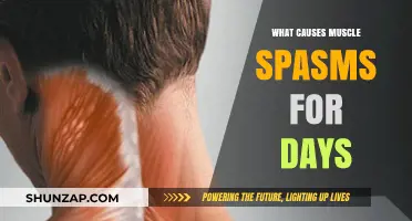 Understanding Persistent Muscle Spasms: Causes and Prolonged Discomfort Explained
