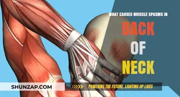 Understanding Neck Muscle Spasms: Causes and Triggers in the Back of Neck