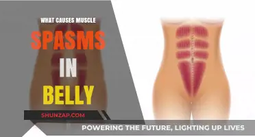 Understanding Belly Muscle Spasms: Common Causes and Triggers Explained