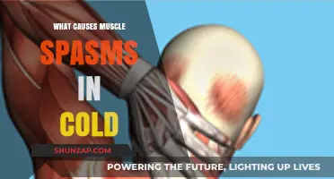 Cold-Induced Muscle Spasms: Understanding Causes and Prevention Tips