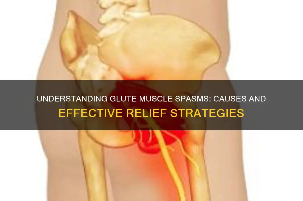 what causes muscle spasms in glutes