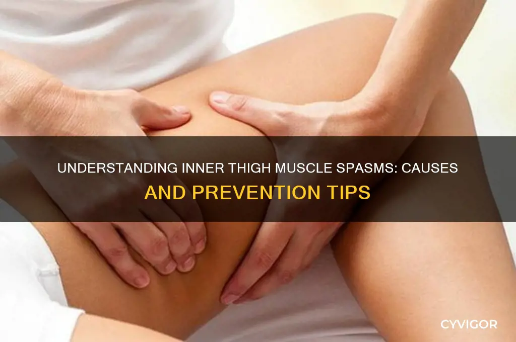 what causes muscle spasms in inner thigh