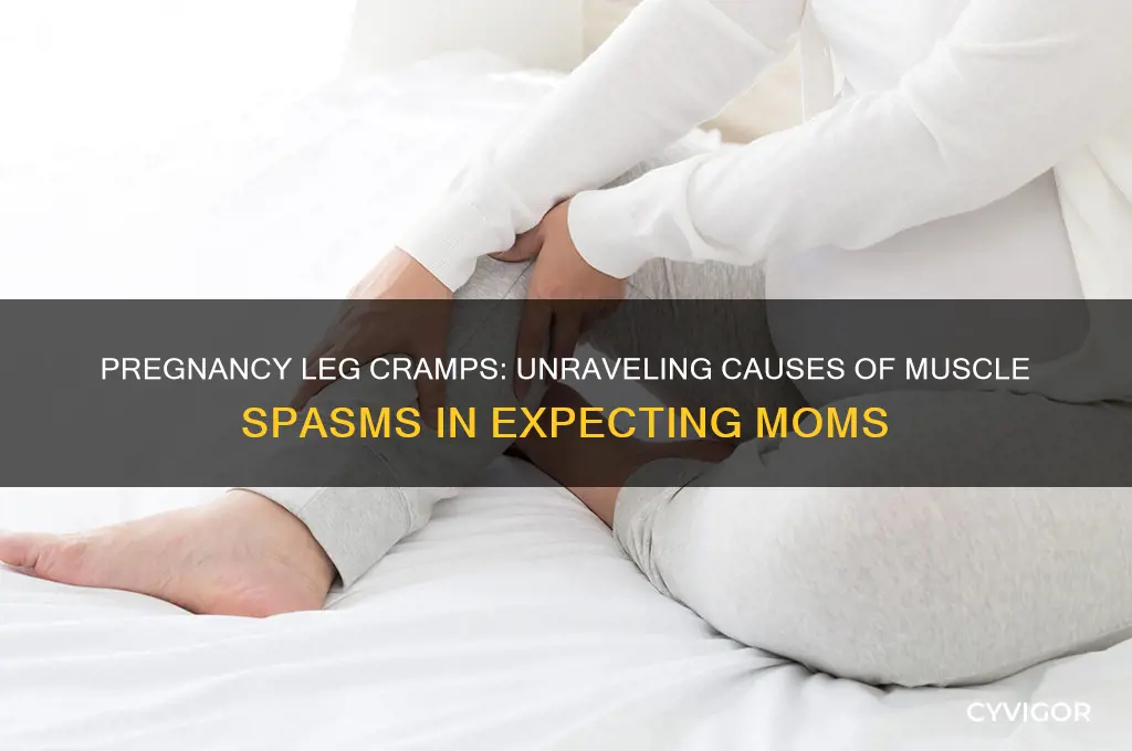 what causes muscle spasms in legs during pregnancy