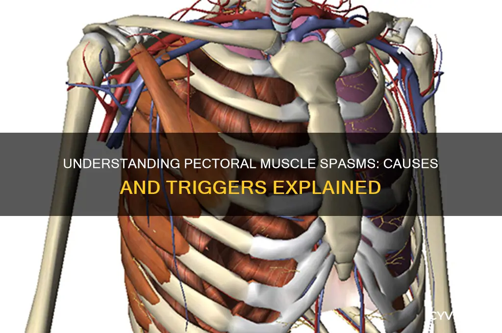what causes muscle spasms in pectoral