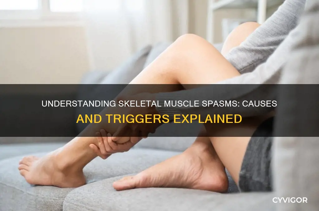 Understanding Skeletal Muscle Spasms: Causes And Triggers Explained ...