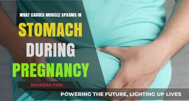 Pregnancy Muscle Spasms: Understanding Stomach Cramps and Their Causes