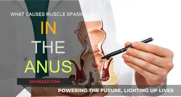 Understanding Anal Spasms: Causes and Triggers
