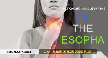 Understanding Esophageal Spasms: Causes and Triggers