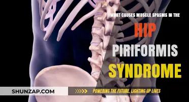 Understanding Hip Piriformis Syndrome: Causes of Muscle Spasms Explained