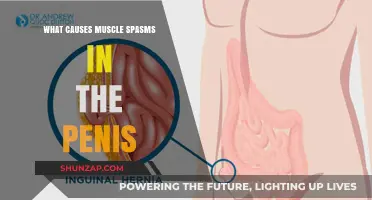 Understanding Penile Muscle Spasms: Causes and Potential Triggers Explained