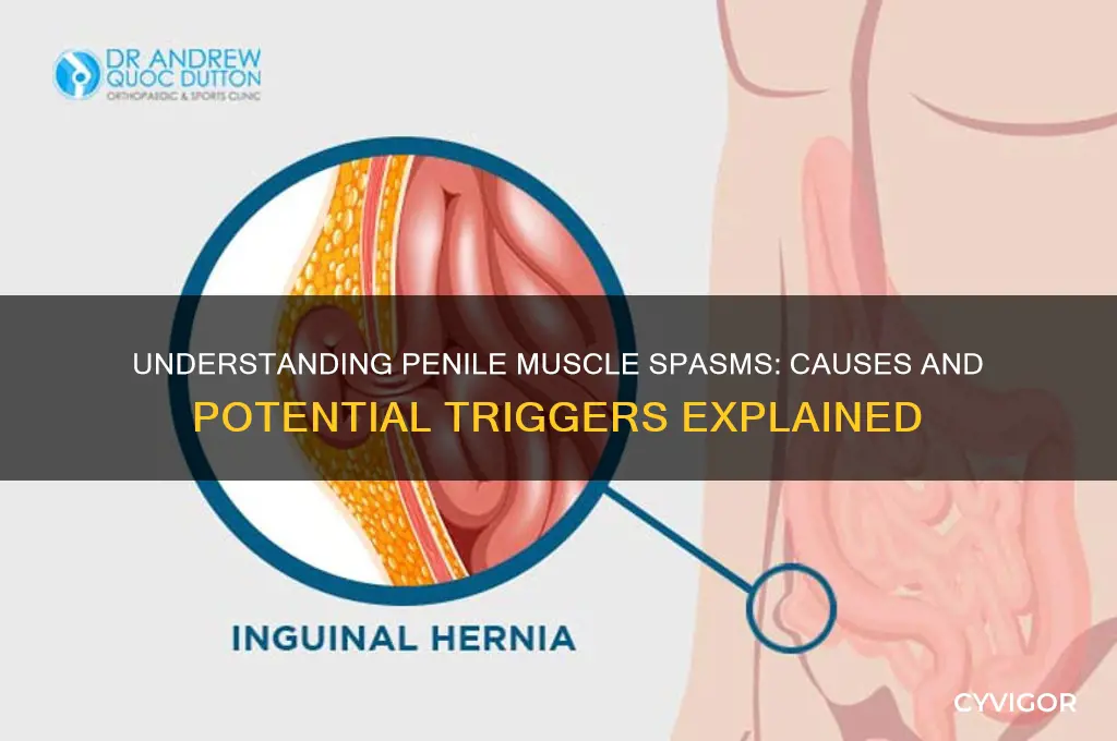 what causes muscle spasms in the penis