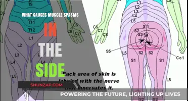 Understanding Side Muscle Spasms: Common Causes and Triggers Explained