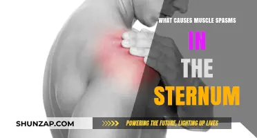 Understanding Sternum Muscle Spasms: Causes and Triggers Explained
