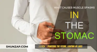 Understanding Stomach Muscle Spasms: Causes and Triggers