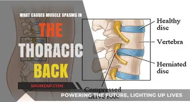 Understanding Thoracic Back Muscle Spasms: Causes and Triggers Explained