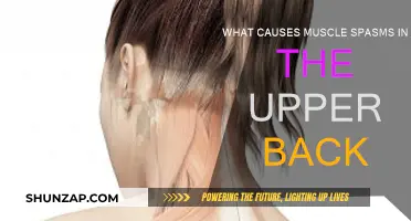 Understanding Upper Back Muscle Spasms: Causes and Triggers