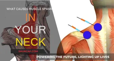 Neck Muscle Spasms: What's the Cause?