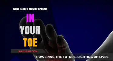 Understanding Toe Muscle Spasms: Common Causes and Triggers Explained