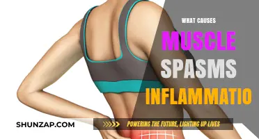 Understanding Muscle Spasms: Causes of Inflammation and Pain Explained