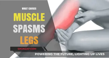 Understanding Leg Muscle Spasms: Causes, Triggers, and Prevention Tips