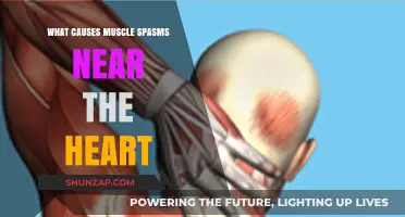 Understanding Muscle Spasms Near the Heart: Causes and Concerns