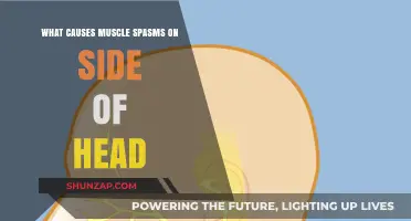 Understanding Side Head Muscle Spasms: Causes and Triggers Explained