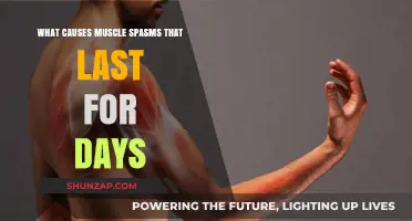 Understanding Prolonged Muscle Spasms: Causes and Lasting Relief Strategies