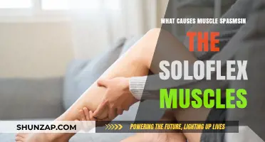 Understanding Muscle Spasms in Soloflex Muscles: Causes and Prevention
