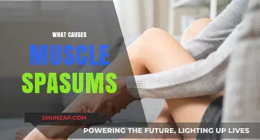 Understanding Muscle Spasms: Causes, Triggers, and Prevention Strategies