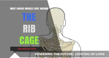 Understanding Muscle Spasms Around the Rib Cage: Causes and Relief