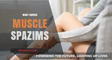 Understanding Muscle Spasms: Causes, Triggers, and Prevention Strategies