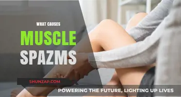 Understanding Muscle Spasms: Causes, Triggers, and Prevention Strategies