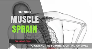 Understanding Muscle Sprains: Causes, Prevention, and Effective Recovery Tips