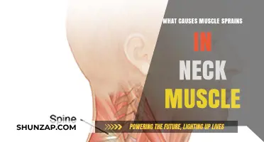 Understanding Neck Muscle Sprains: Causes and Prevention Tips
