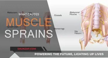 Understanding Muscle Sprains: Causes and Prevention