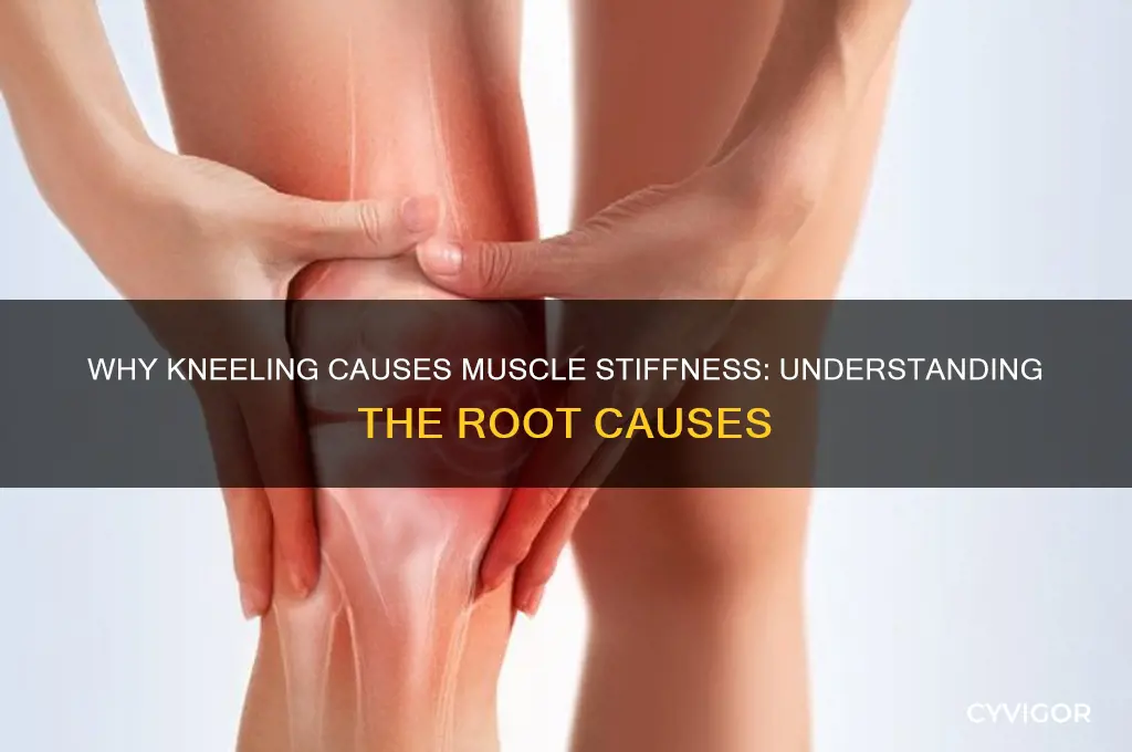 what causes muscle stiffness after kneeling