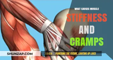Understanding Muscle Stiffness and Cramps: Causes and Prevention Tips