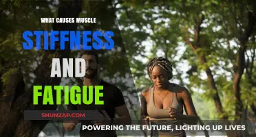 Understanding Muscle Stiffness and Fatigue: Causes and Contributing Factors