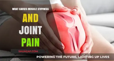 Understanding Muscle Stiffness and Joint Pain: Causes and Relief Strategies