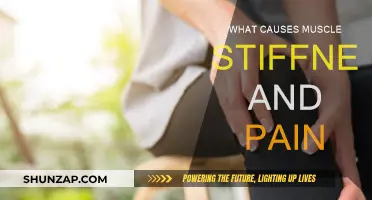 Muscle Stiffness and Pain: Causes and Triggers