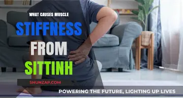 Why Sitting Too Long Causes Muscle Stiffness: Understanding the Root Causes