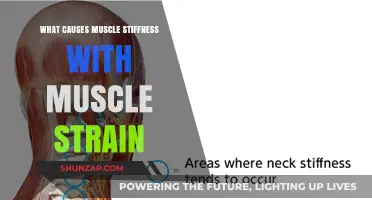 Understanding Muscle Stiffness: Causes Linked to Muscle Strain Explained