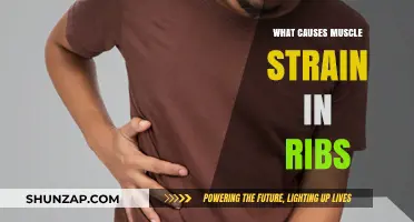 Understanding Rib Muscle Strain: Causes, Symptoms, and Prevention Tips