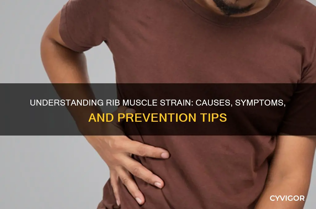 what causes muscle strain in ribs