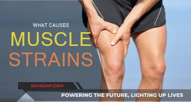 Muscle Strains: Causes and Prevention