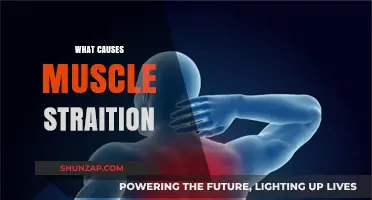 Understanding Muscle Strains: Common Causes and Prevention Tips